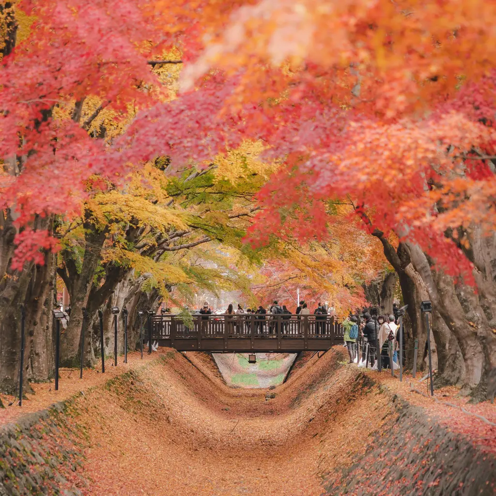 Maple Meditation Retreat - Seasonal luxury experience in Japan